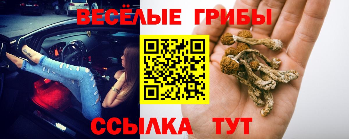 Псилоцибиновые грибы мухоморы Октябрьский